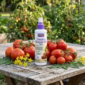 Tomato and Vegetable Blossom Spray,  Fertilizers